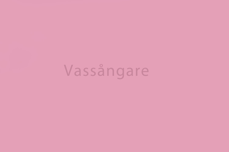0917 Vassångare.jpg