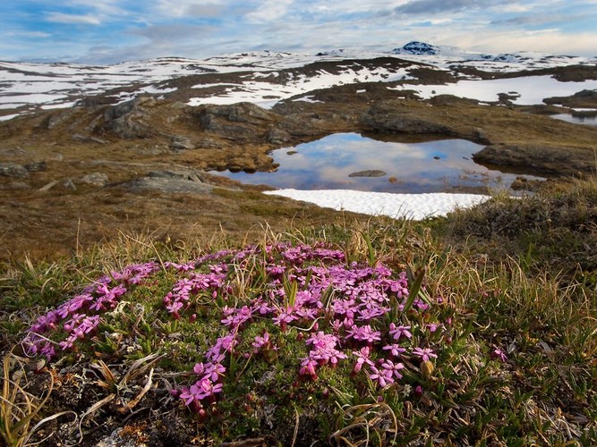 Padjelanta_58A0201.JPG