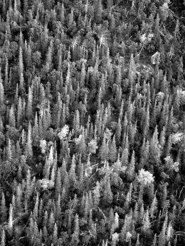 _58A0973.JPG