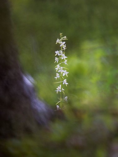 _58A1532.JPG