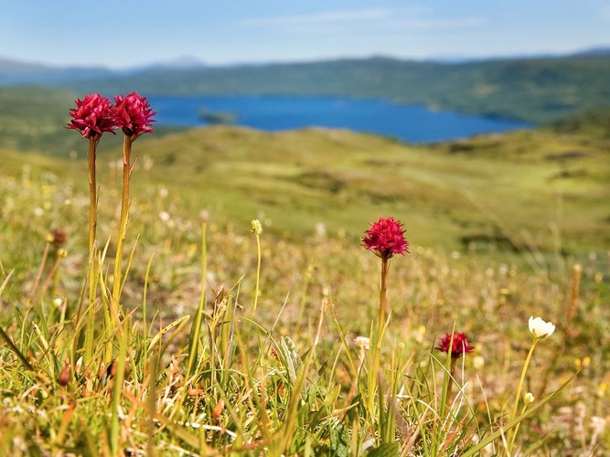 _MG_0713.JPG
